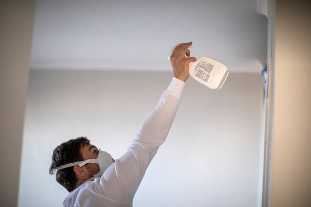 Best Mold Testing  in , MI